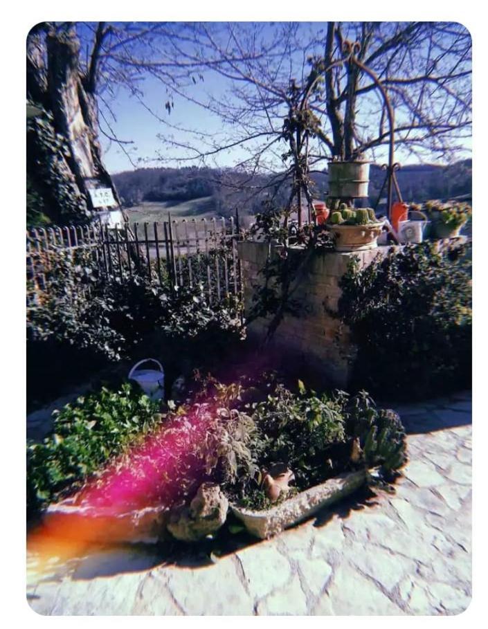 Apartamento La Casina Di Ancicucco 1 San Gimignano Exterior foto